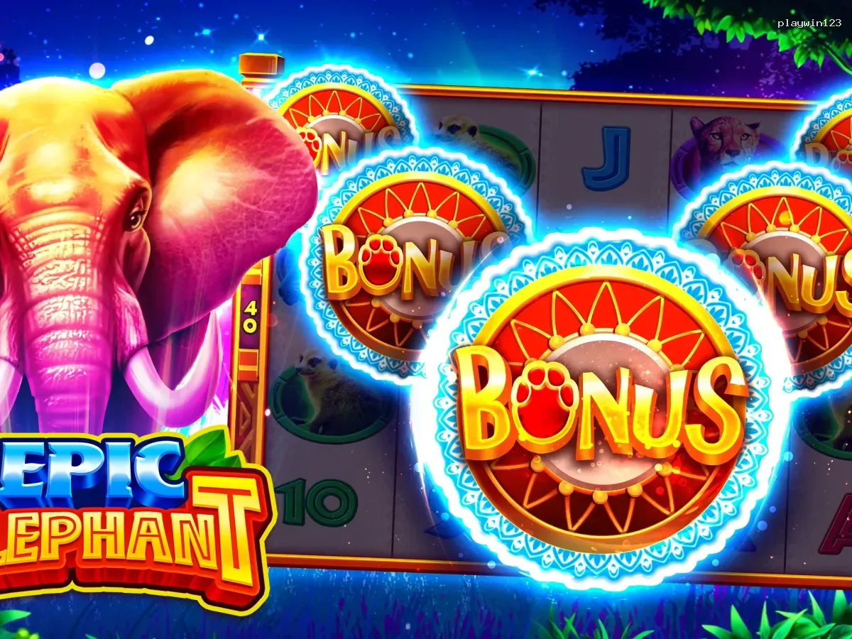 Akses playwin123 VIP Premium screenshot